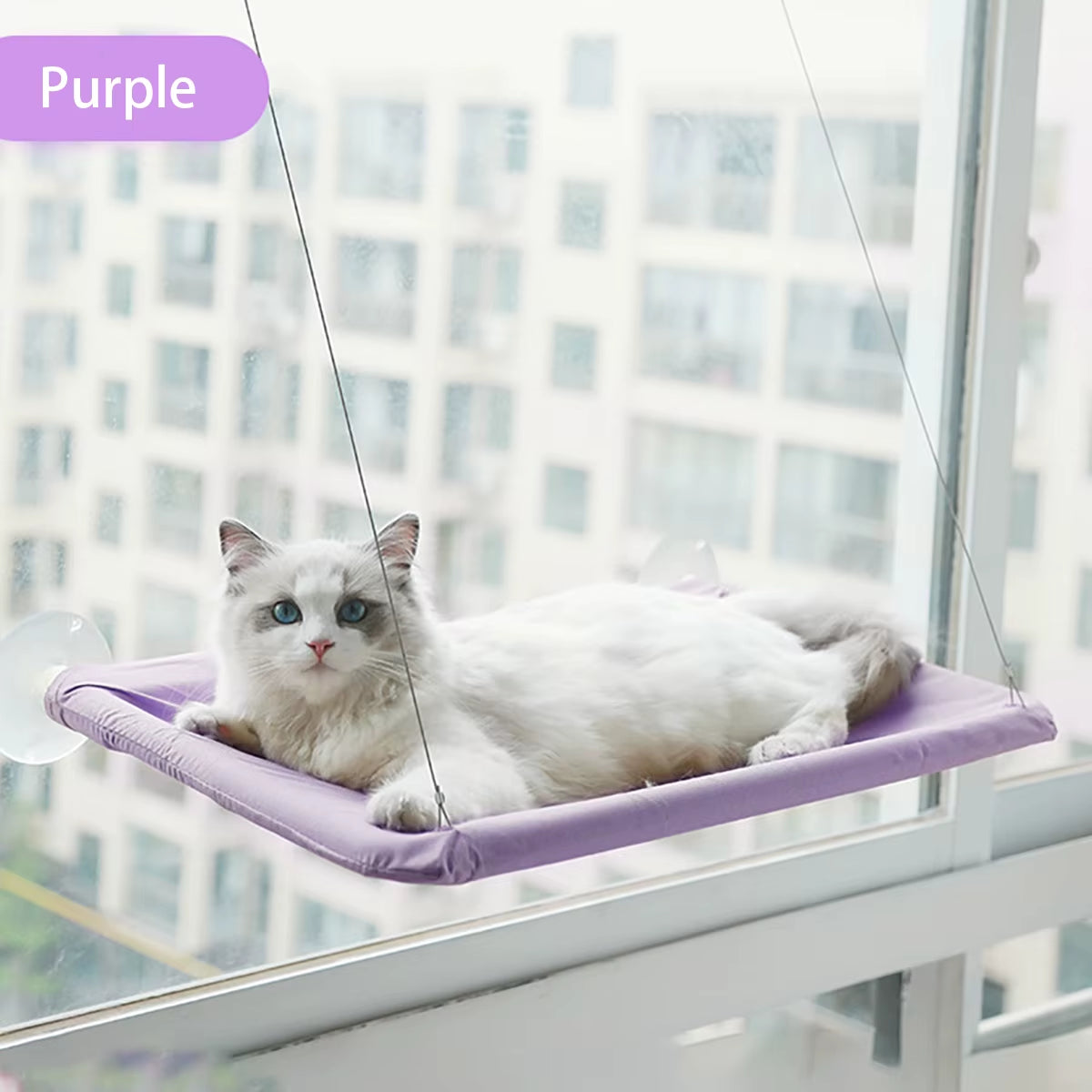 Window Cat Hammock with Suction Cups, 55 x 35 cm