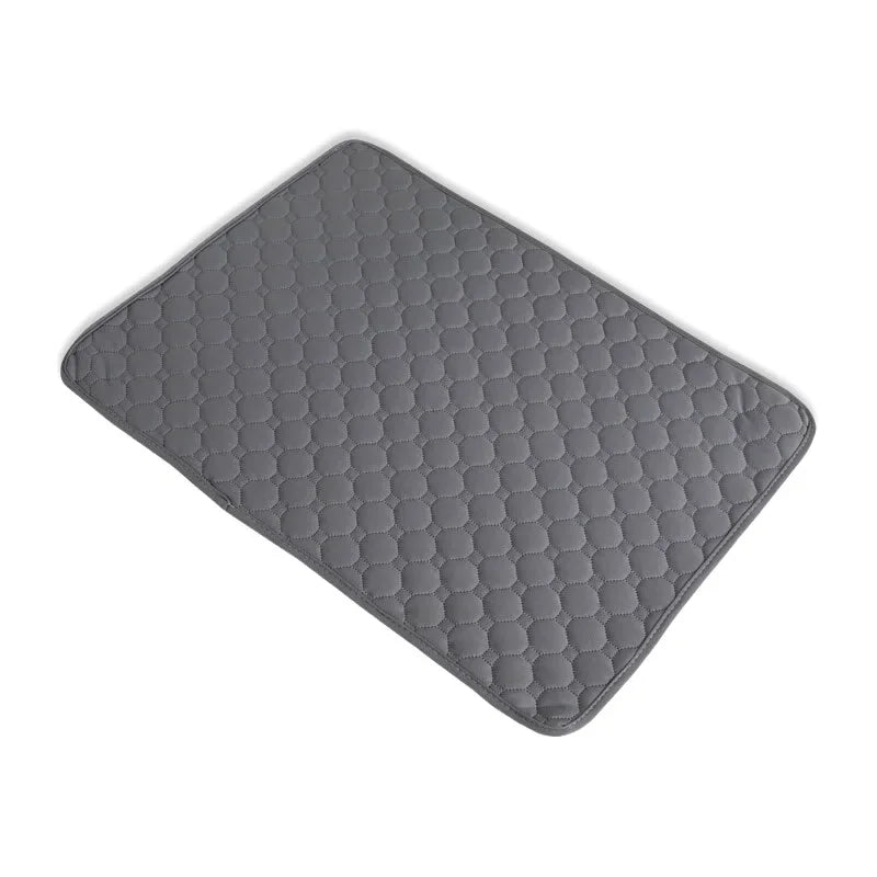 Washable Pee Pad for Dogs, Absorbent and Non-Slip