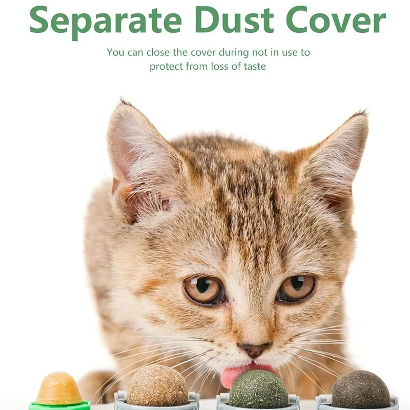 Rotating Catnip Wall Toy with Silvervine Ball