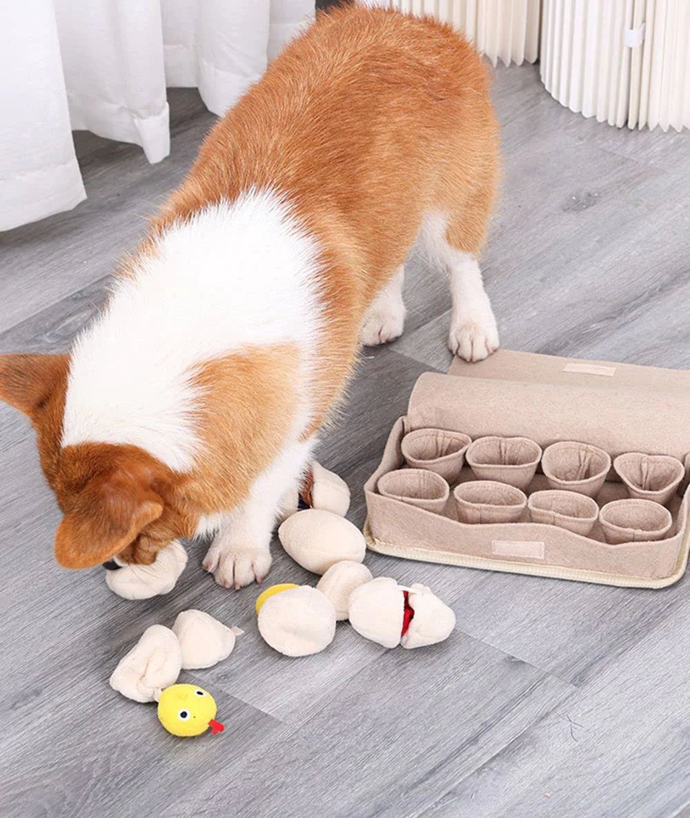 Snuffle Mat for Dogs with 8 Squeaky Plush Eggs