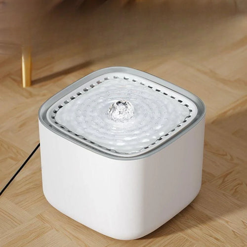 3 L Pet Water Fountain with Filter