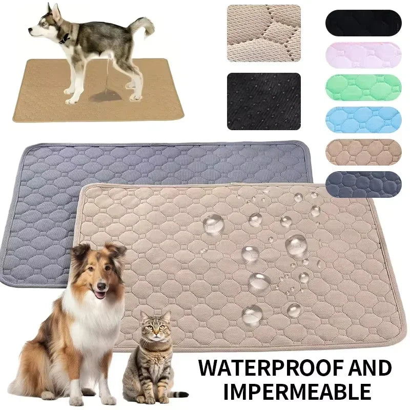 Washable Pee Pad for Dogs, Absorbent and Non-Slip