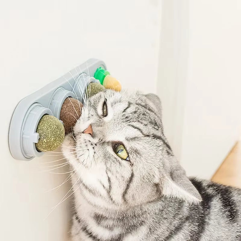 Rotating Catnip Wall Toy with Silvervine Ball