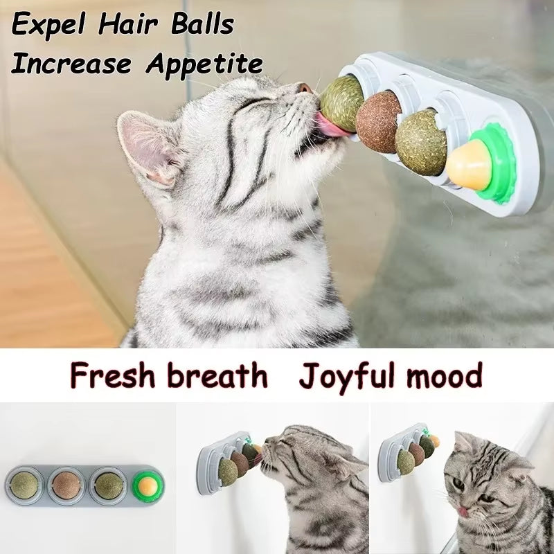 Rotating Catnip Wall Toy with Silvervine Ball